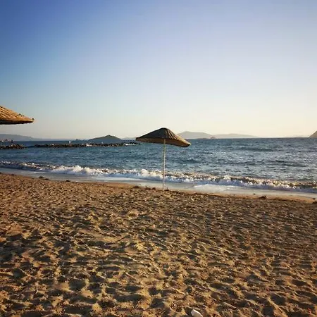 Apartment 300m To 2 Bedroom Garden Floor Flat With Pool - Yeni Duenya B1